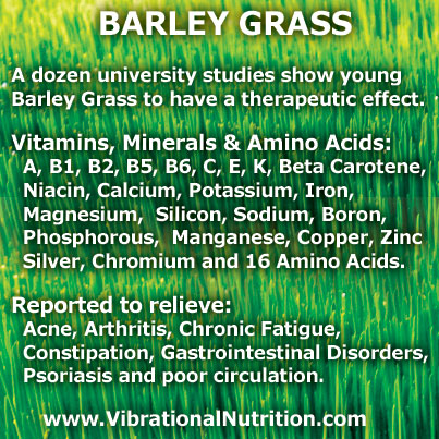 Benefits of hotsell barley grass powder